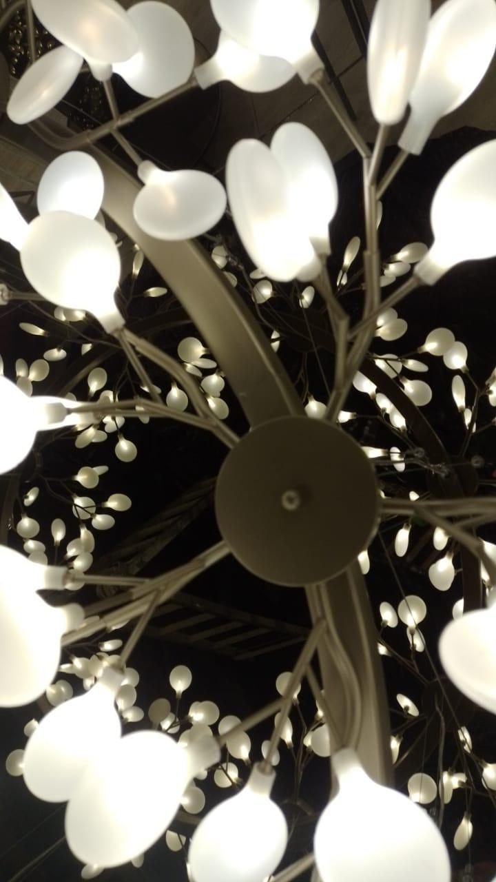 Cyrela Oscar Freire 1560 — Lustre em Anel de Folhas Iluminadas — Lustre em anel de folhas iluminadas, vista inferior