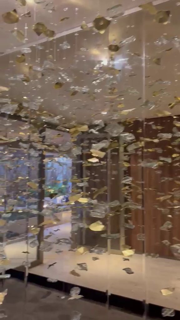 Casa Ibirapuera — Chuva de Cristal e Folhas Douradas — vídeo