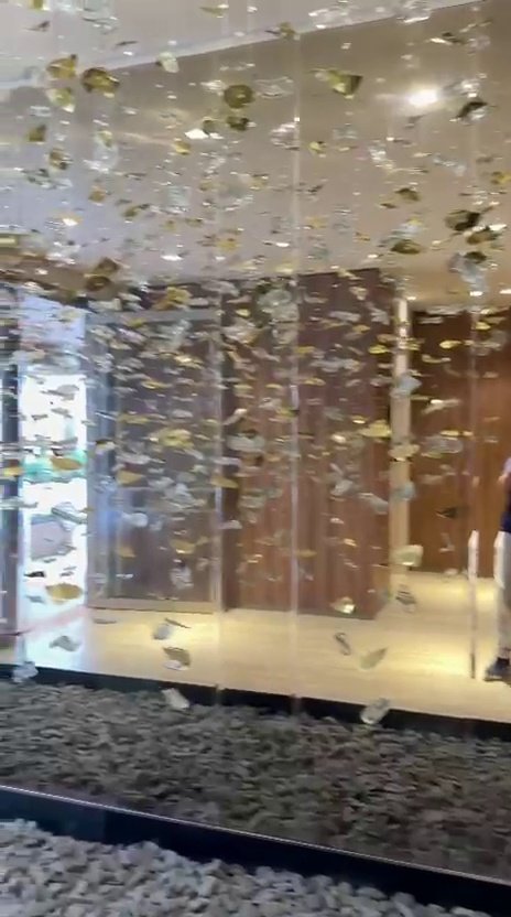 Casa Ibirapuera — Chuva de Cristal e Folhas Douradas — vídeo