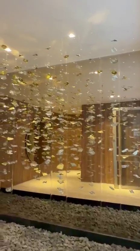 Casa Ibirapuera — Chuva de Cristal e Folhas Douradas — vídeo
