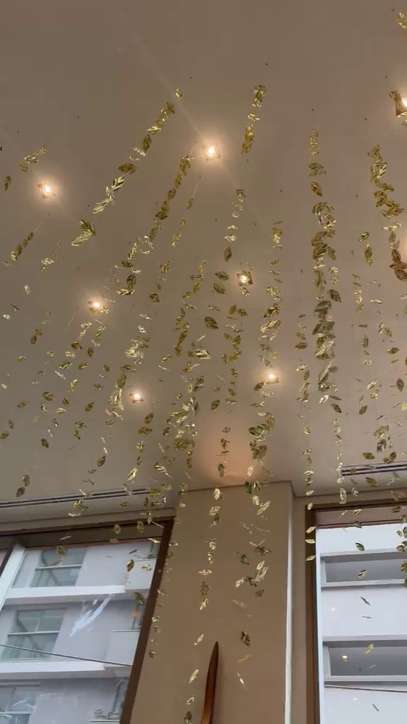 Casa Ibirapuera — Corredor em Folhas Douradas — vídeo