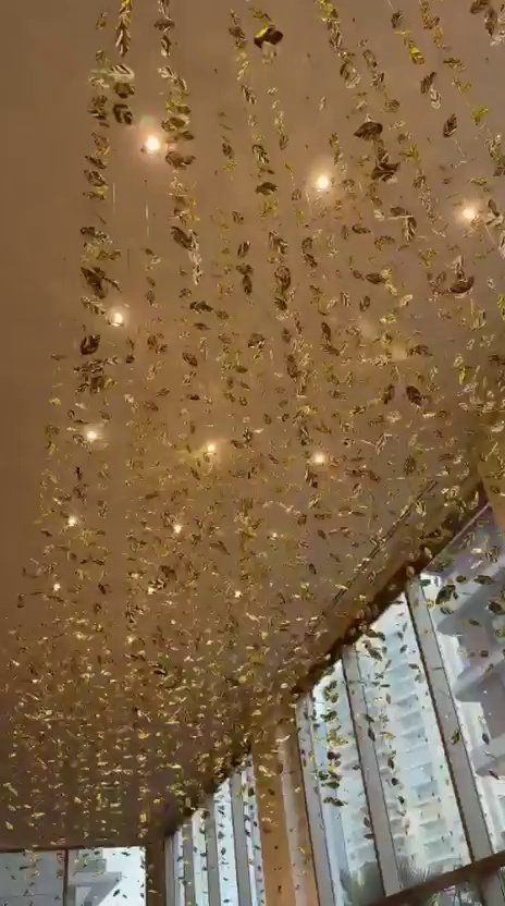 Casa Ibirapuera — Corredor em Folhas Douradas — vídeo