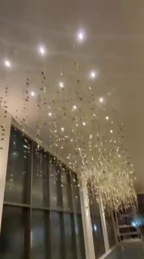 Casa Ibirapuera — Corredor em Folhas Douradas — vídeo